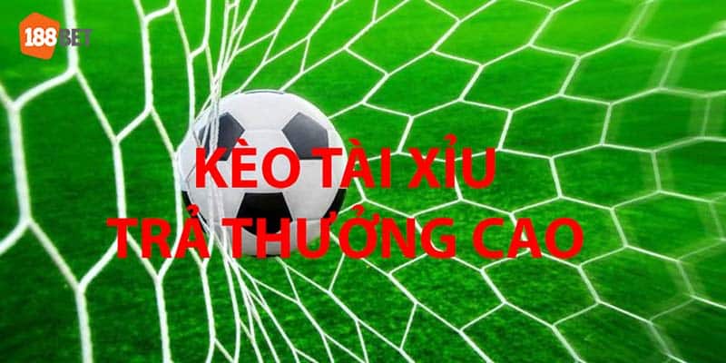 Kèo Tài Xỉu có tỷ lệ trả thưởng cao mang lại thu nhập lớn 